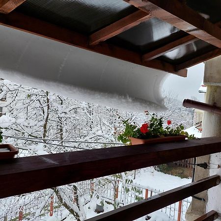 Holiday House Valiug Bagian luar foto