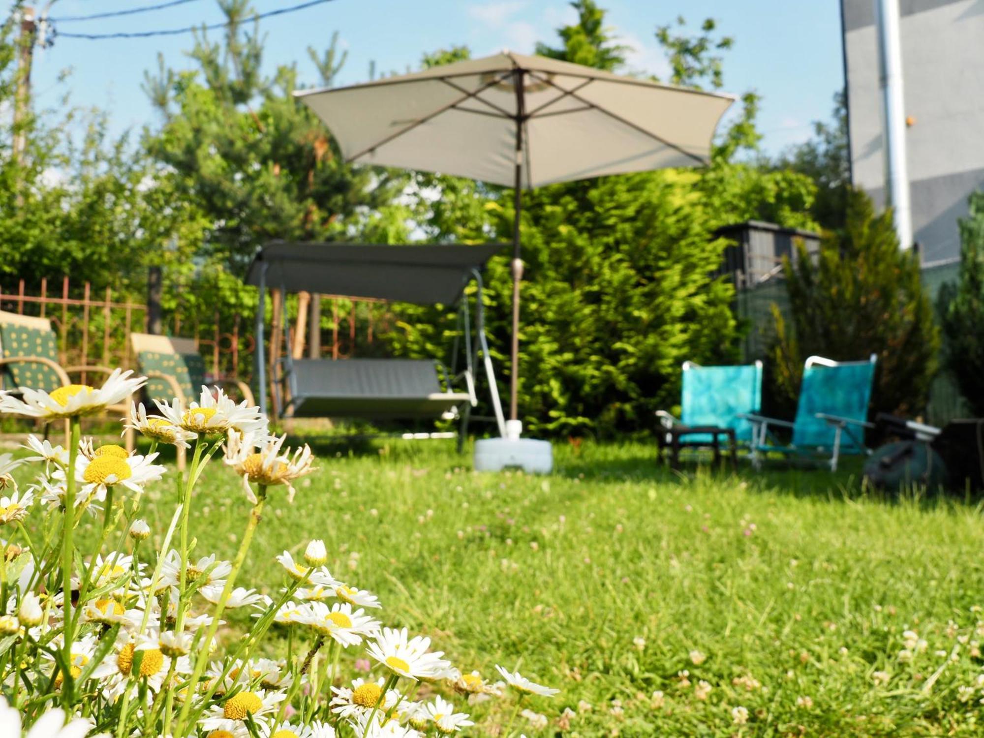 Holiday House Valiug Bagian luar foto
