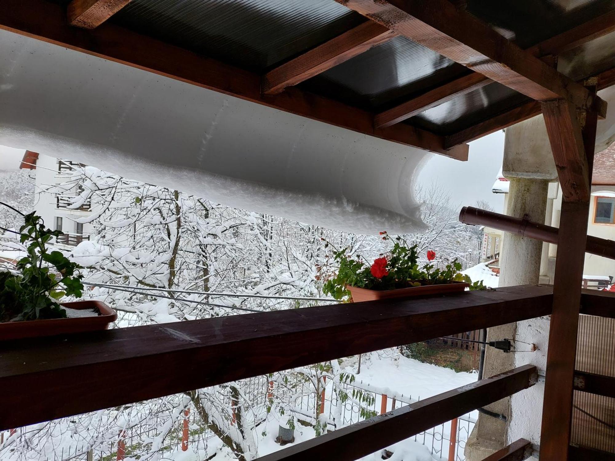 Holiday House Valiug Bagian luar foto